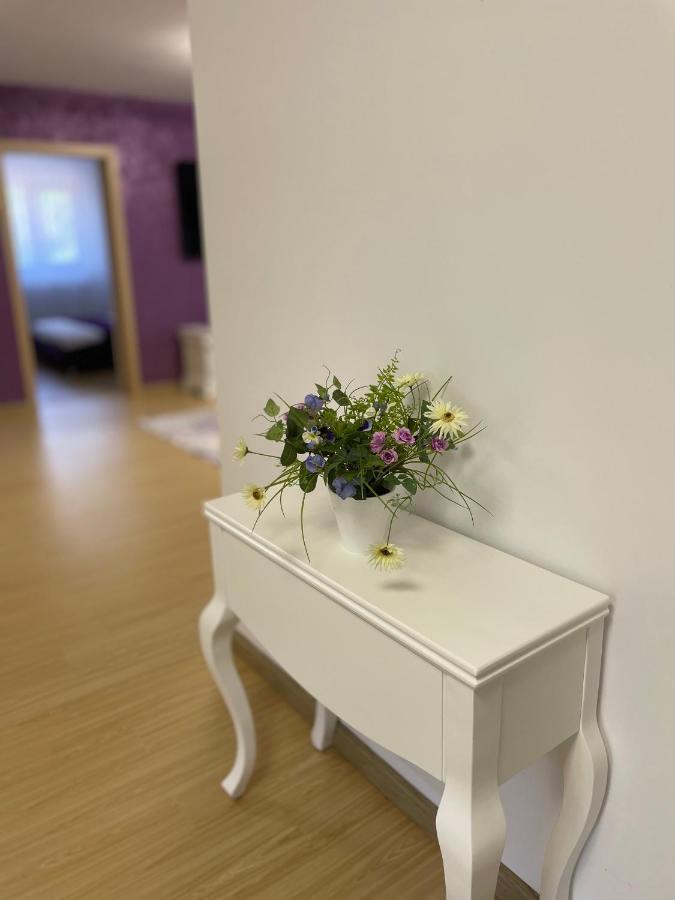 Bibis Apartments Nehoiu Kültér fotó