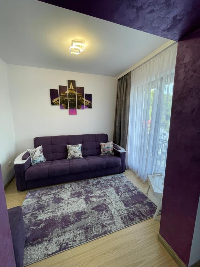 Bibis Apartments Nehoiu Kültér fotó