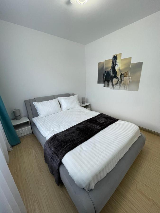 Bibis Apartments Nehoiu Kültér fotó