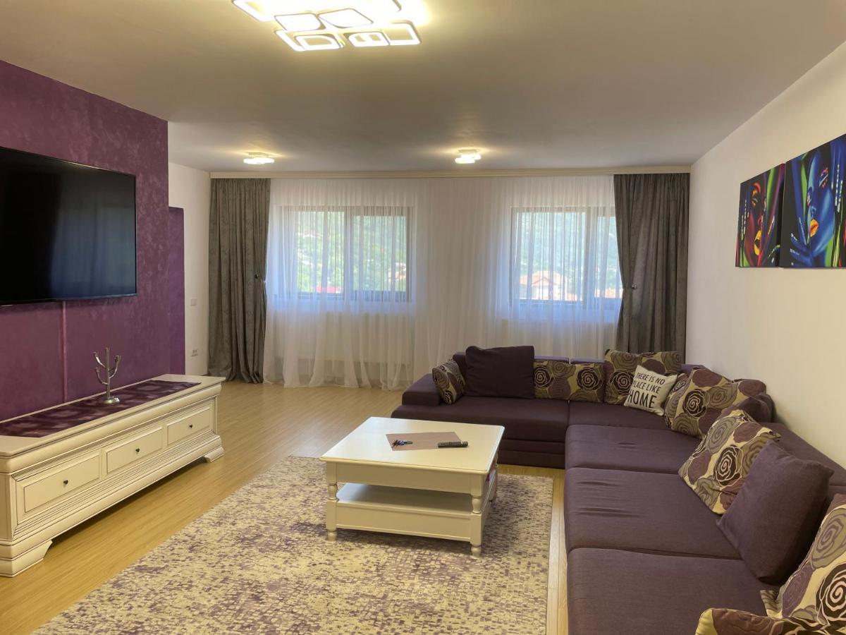 Bibis Apartments Nehoiu Kültér fotó